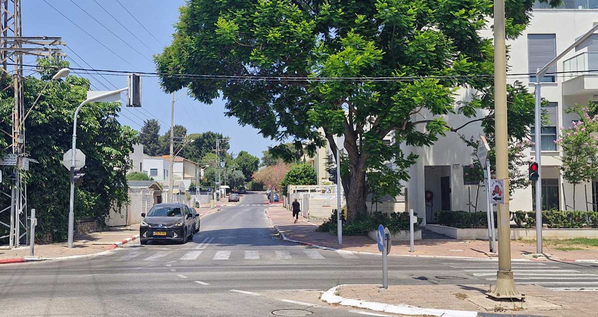 כביש הכניסה לשכונת סביוני הכפר בכפר סבא. כביש של שני נתיבים ומדרכות בצדדים. משמאל בתי מגורים של שתי קומות. מימין בתי מגורים של שלוש קומות. עץ גדול בכניסה לרחוב.