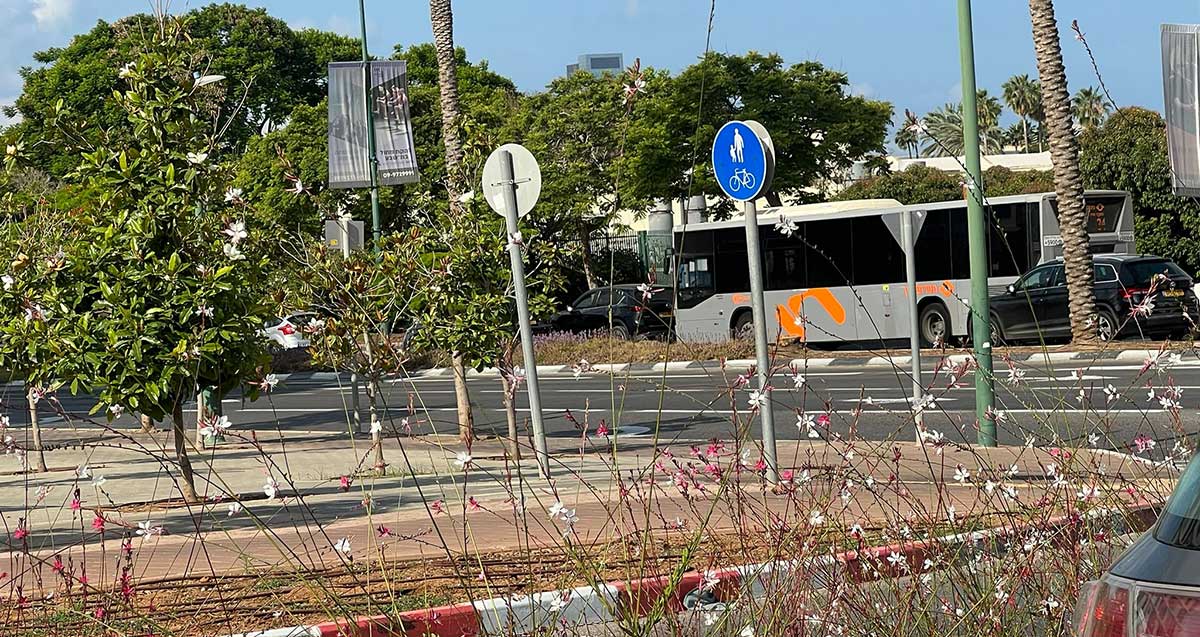 פקק תנועה ברחוב ז'בוטינסקי במפגש עם רחוב פינסקר. צילום: שרון אונליין