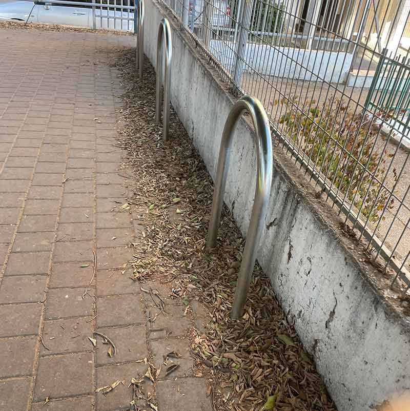 עלים צמודים לחומה ולגדר של חטיבת ביניים ברחוב ששת הימים בכפר סבא ליד מתקנים הקשירה של האופניים