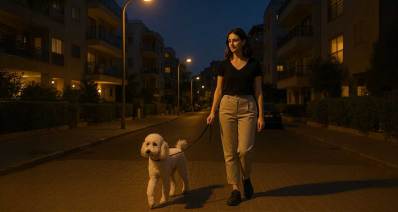 איור של אישה מטיילת עם כלב ברחוב.