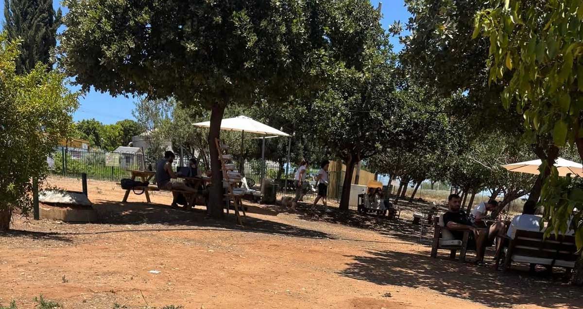 עגלת הקפה ברעננה. שולחנות וספסלים בצל עצים ושמשיות. ואנשים יושבים.