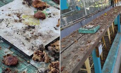 תמונת קולאז׳ של פלייסמייקינג באזור התעסוקה רעננה. מדף עץ מלוכלך מצד י מין. שלט מושלך על הרצפה מלוכלך מאוד