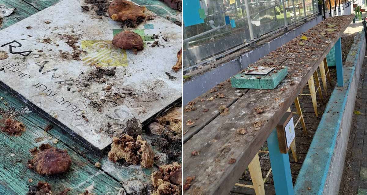 תמונת קולאז׳ של פלייסמייקינג באזור התעסוקה רעננה. מדף עץ מלוכלך מצד י מין. שלט מושלך על הרצפה מלוכלך מאוד