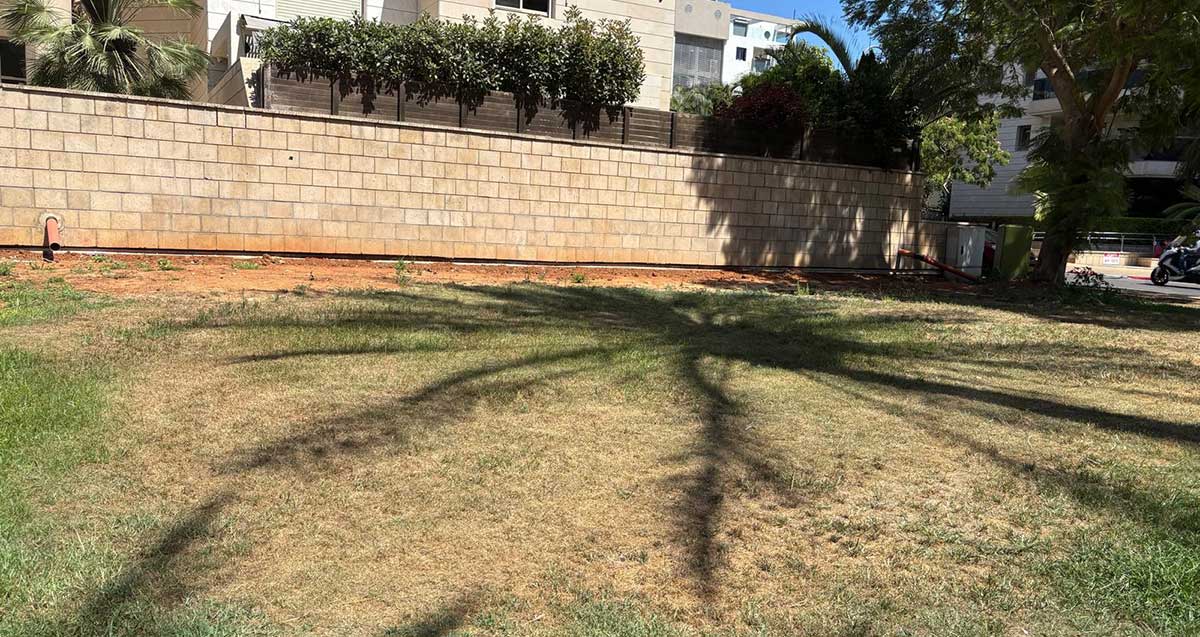 שטח ציבורי בשכונת נווה גן ברמת השרון. גינה עם דשא שחלקו יבש.