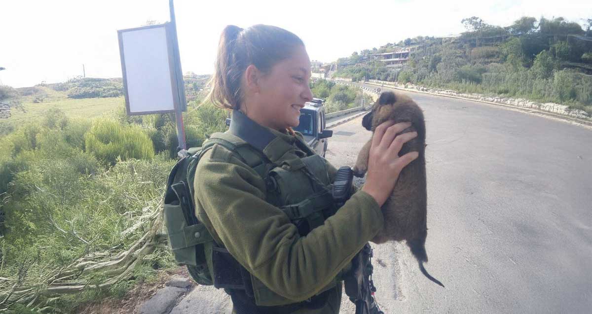 טלי לופו שדות במדי צה"ל עם גור כלבים ביד