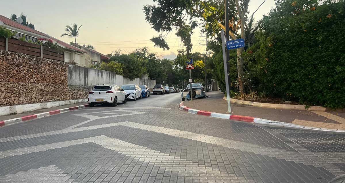 רחוב יבנה רמת השרון. בצד שמאל בתים פרטיים ובצד ימין גינה ציבורית.