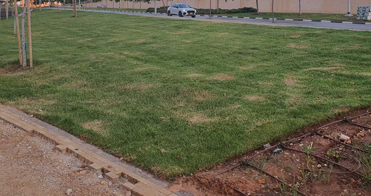 עבודות לבניית גן שעשועים בפארק גליל ים