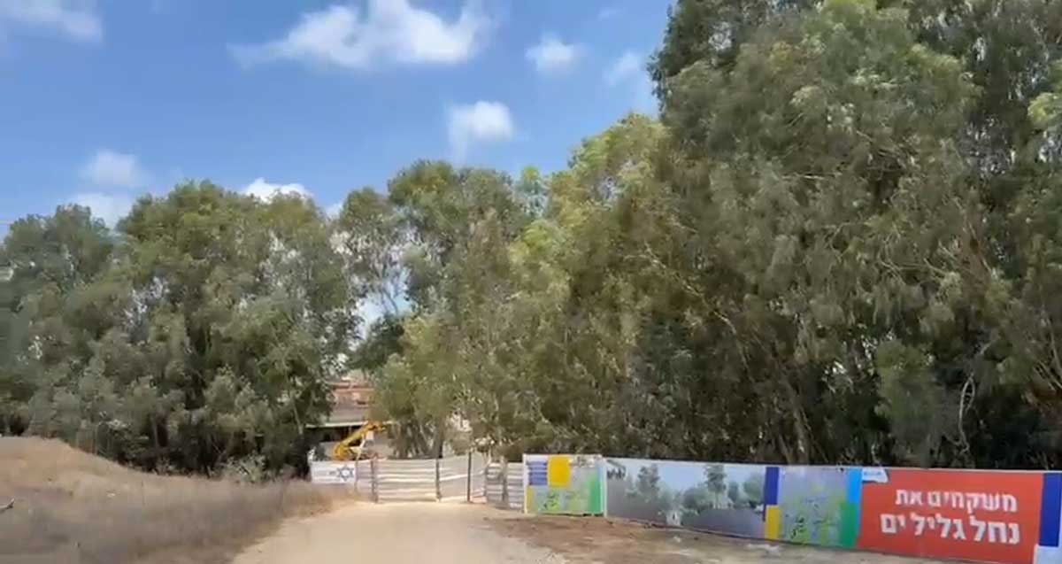 עצי האקליפטוס היועדים לכריתה. לפניהם גדר עם שלטים משקמים את נחל גליל ים