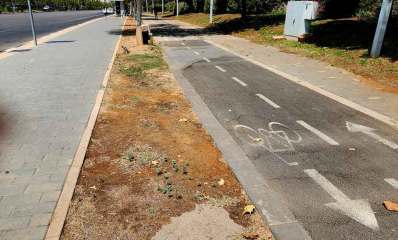 דרך רמתיים להיכן נעלמה הצמחיה. בין המדרכה לבין שביל האופניים מפרידה רצועה של חול ועצים.