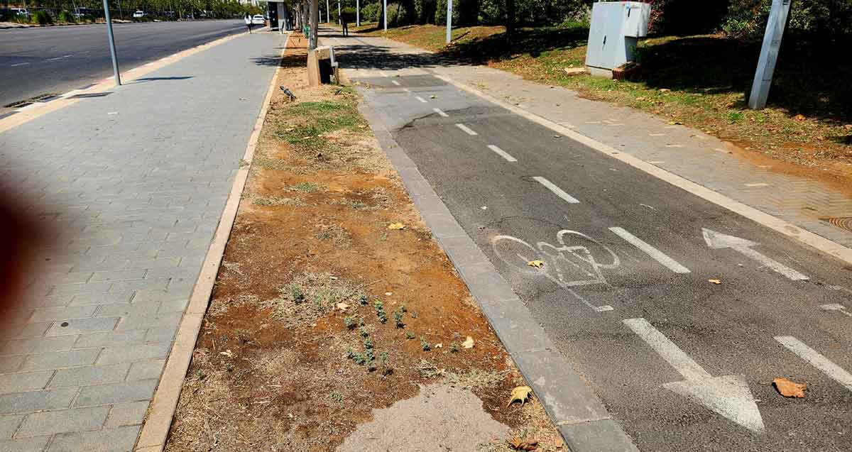 דרך רמתיים להיכן נעלמה הצמחיה. בין המדרכה לבין שביל האופניים מפרידה רצועה של חול ועצים.