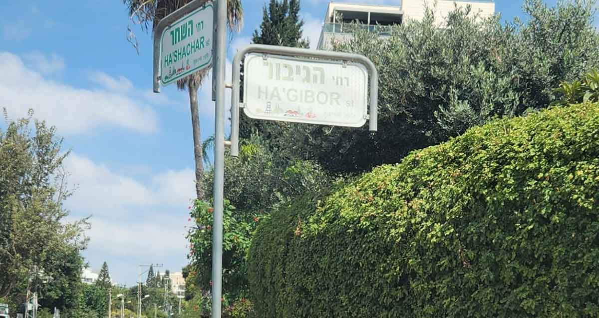 הגיבור הבלתי נראה - שלט דהוי ברחוב הגיבור בהוד השרון