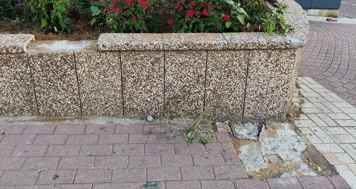 ויצמן ליד המעפילים, חלק צפוני. אבני מדרכה חסרים ובמקומם חתיכות של בטון שאינן מכסות את החסר.