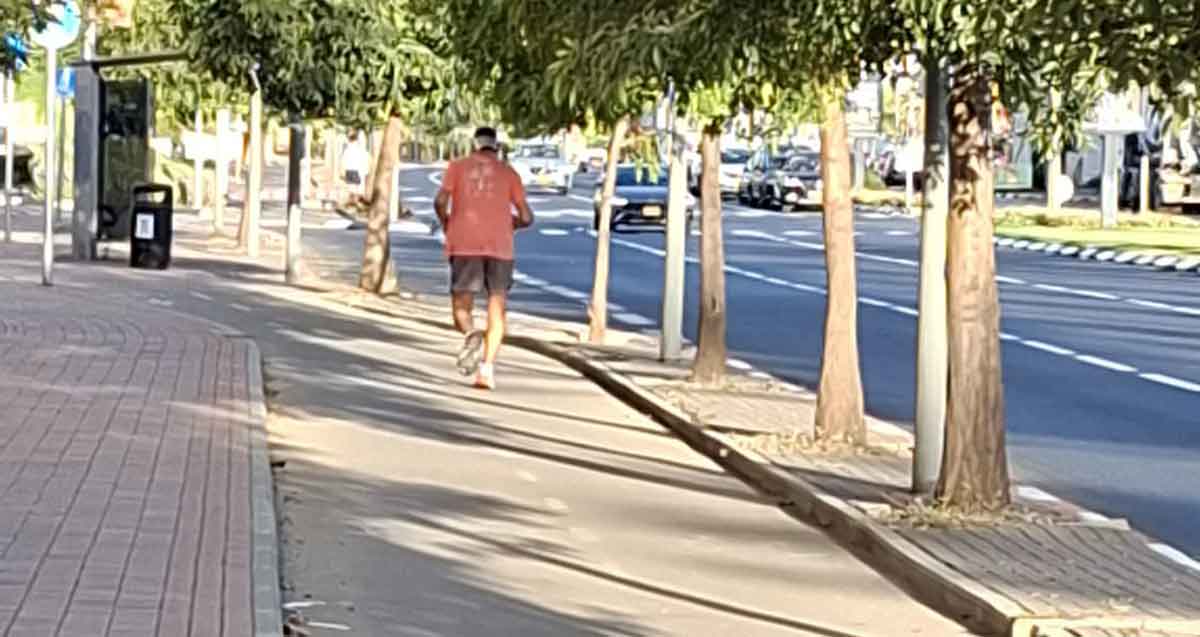 עצים לא גזומים מסכנים את רוכבי האופניים