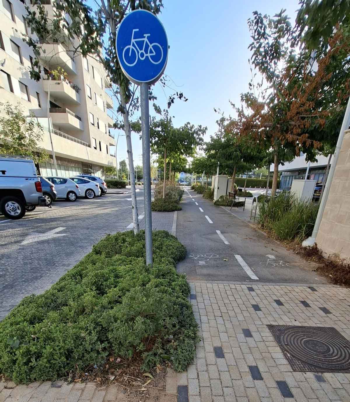 צמחייה גולשת לשביל אופניים
