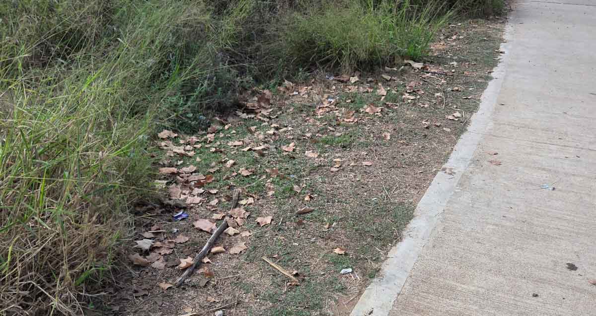 הפארק האקולוגי הוד השרון, מוזנח