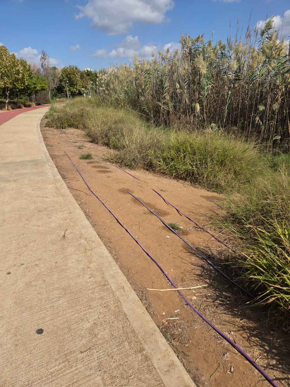 הפארק האקולוגי הוד השרון, מוזנח