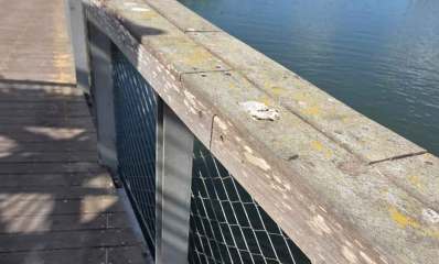 הפארק האקולוגי הוד השרון, מוזנח