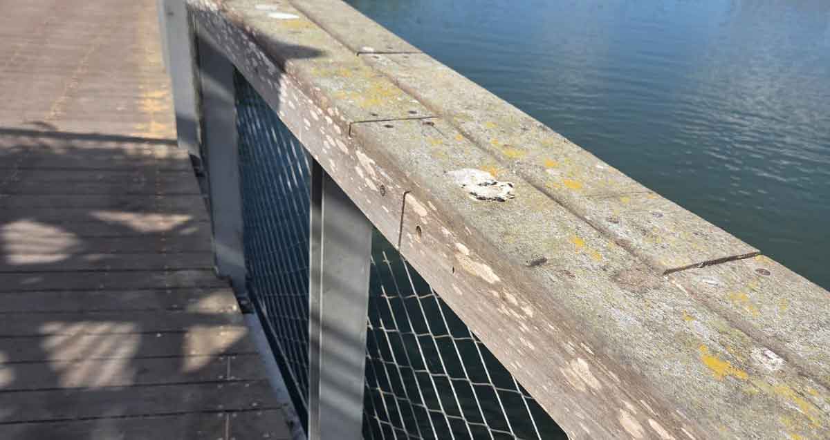 הפארק האקולוגי הוד השרון, מוזנח