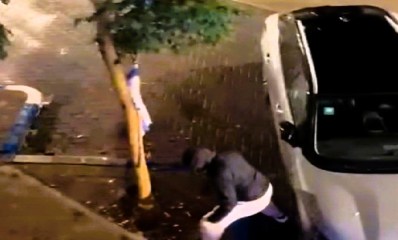 כורתים את העץ. צילום מסך מתוך תיעוד הווידאו שפרסם רוכברגר