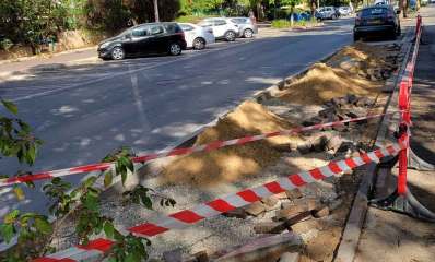 עבודות ברחוב דוד שמעוני במערב הרצליה הירוקה