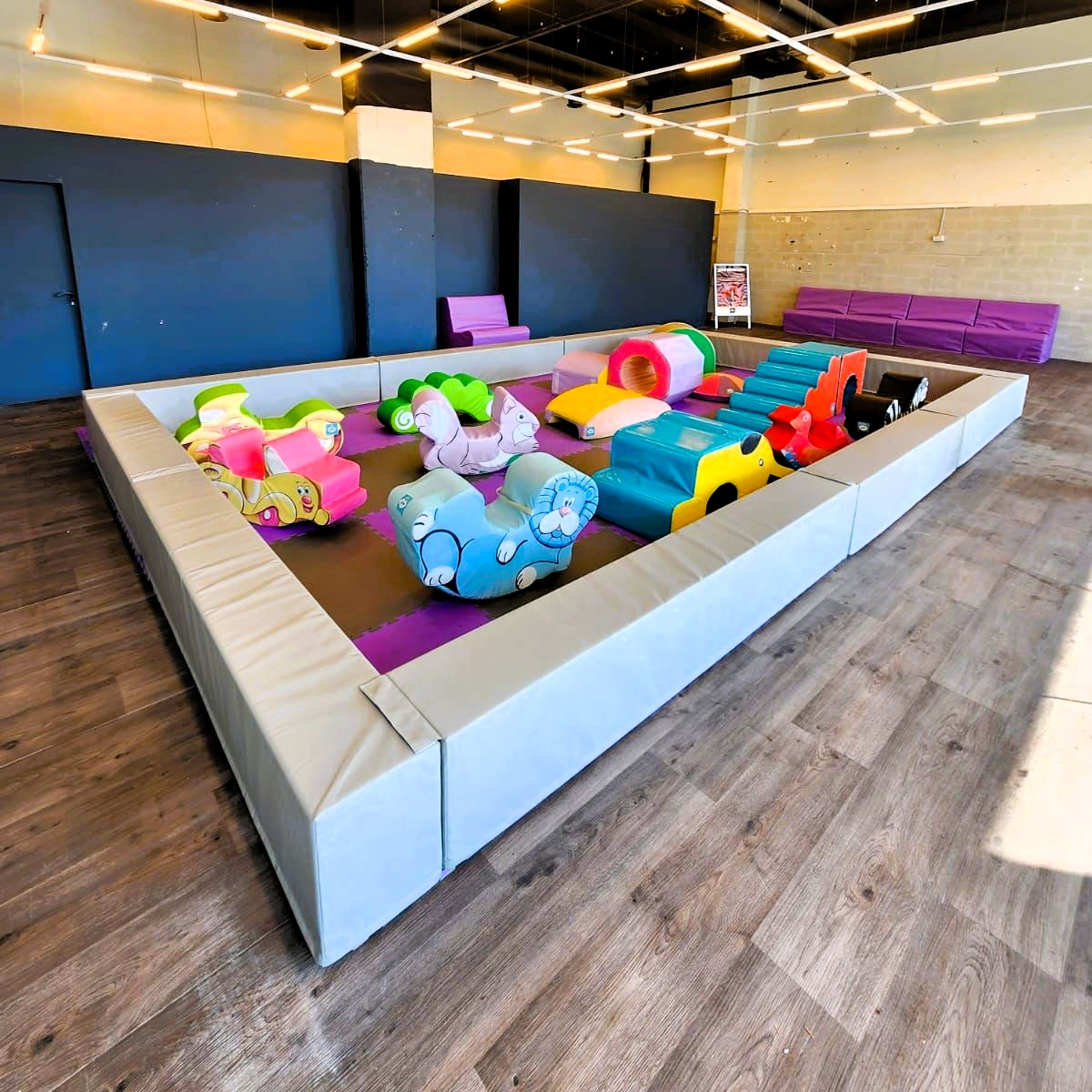 הג'ימבורי בביג פאשן גלילות. צילום: ביג