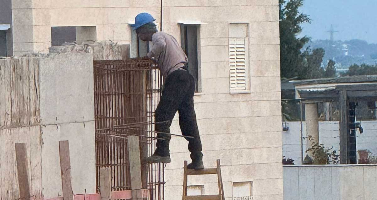 פועל עובד בגובה ללא ריתמה בבית ספר הנדיב בהרצליה. עומד על סולם עץ