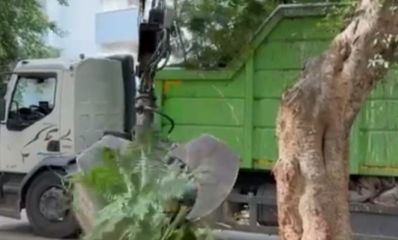 משאית לפינוי גזם בכפר סבא, צילום: עיריית כפר סבא