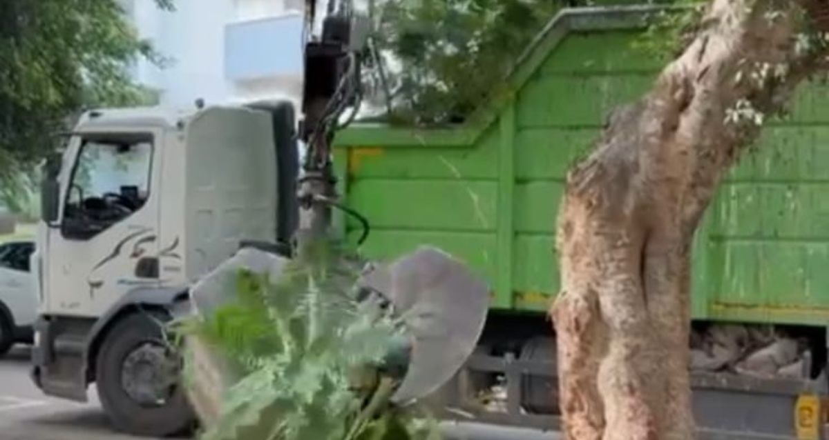 משאית לפינוי גזם בכפר סבא, צילום: עיריית כפר סבא