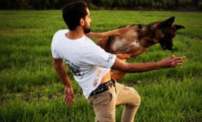 כפיר ינוס משחק עם כלב בדשא, צילום: יחסי ציבור