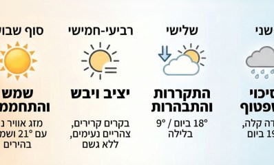 אינפוגרפיקה - מדיה היפר לוקאלית