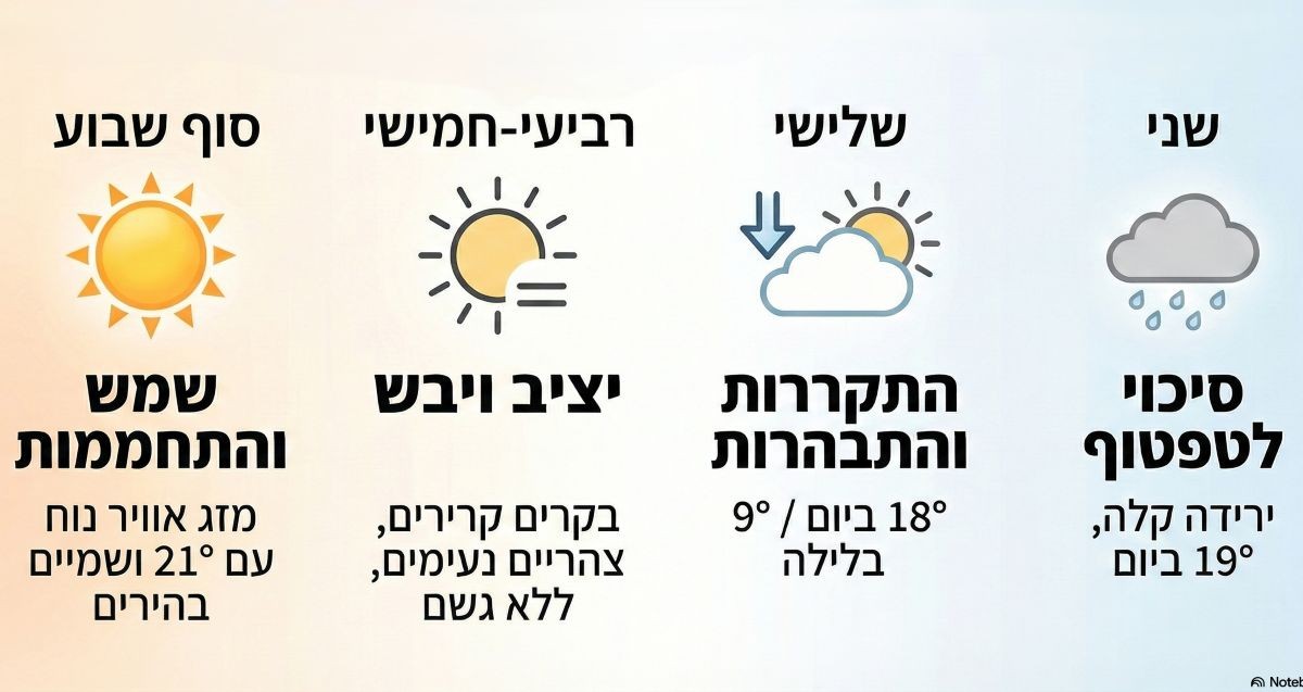 אינפוגרפיקה - מדיה היפר לוקאלית