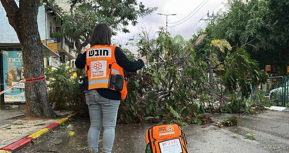 חובשת איחוד הצלה מול עץ שקרס על רכב ברחוב ראשי בכפר סבא