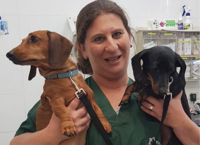 ד"ר גילי שפר במדי וטרינרית בצבע ירוק אוחזת בשני כלבים - חום ושחור כל אחד ביד אחרת, צילום: פרטי