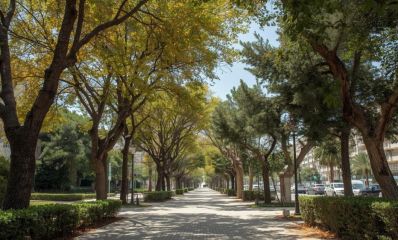 עצים בחורה, הדמיית בינה מלאכותית: שרון אונליין