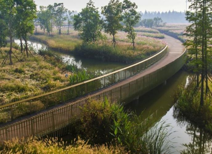 החזון לפארק הנופש, אילוסטרציה: ברוידא מעוז, אדריכלות נוף