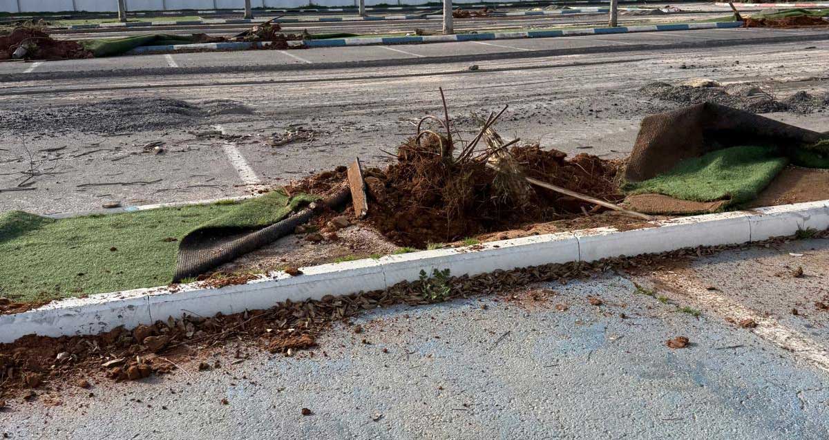 אתר בניית "הקונגרס" - עצים כרותים בהרצליה