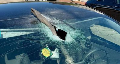 שמשת רכב מנופצת, רסיס יירוט תקוע בתוכה, צילום: מתוך הפייסבוק של עיריית רמת השרון