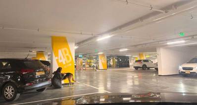 המקלט בקומה מינוס 4 בביג פאשן גלילות. חניון מינוס 4, אישה כורעת ליד עמוד בטון ולידה כלב.