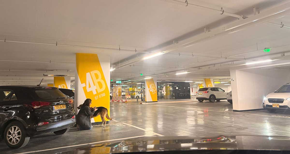 המקלט בקומה מינוס 4 בביג פאשן גלילות. חניון מינוס 4, אישה כורעת ליד עמוד בטון ולידה כלב.