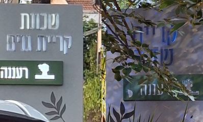 שלט של שכונת שזר מוסתר מצמחייה ושלט של שכונת קריית גנים עם כיתוב לא ברור, צילום: סמדר פינק