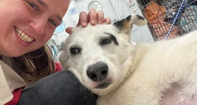 דניאל ושולה הכלבה בבית החולים הוטרינרי, צילום פרטי