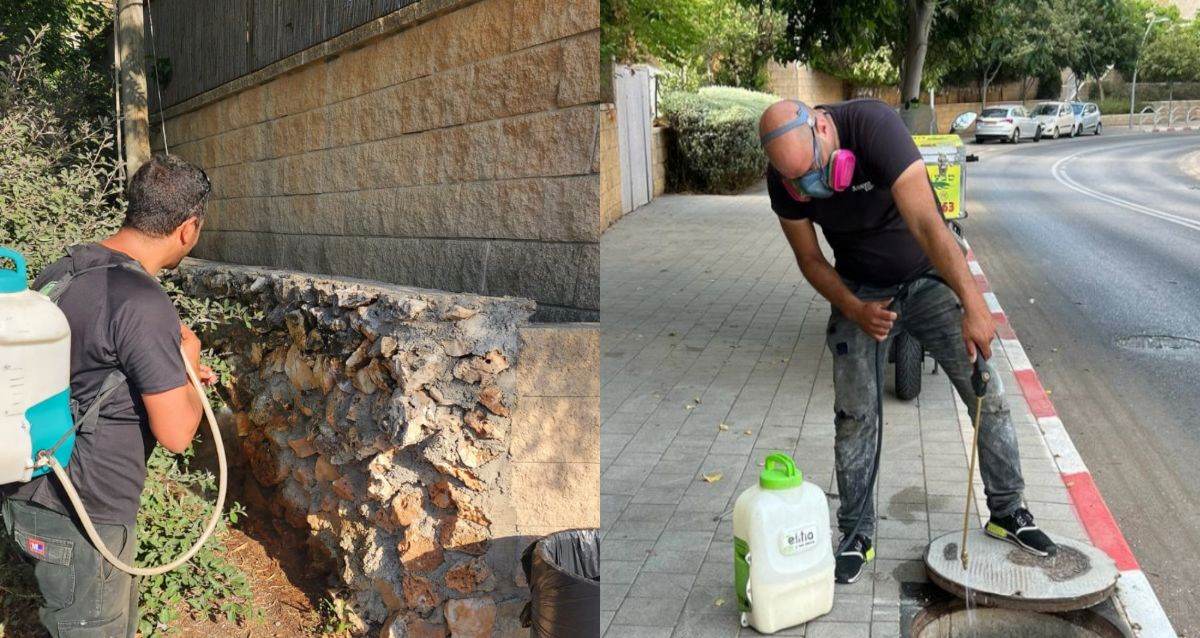 מדבירים בפעולה בכפר בא, צילום: העירייה