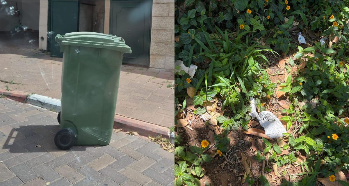 פח ירוק באמצע הכביש וערוגה עם לכלוכים נייר, צילום פרטי