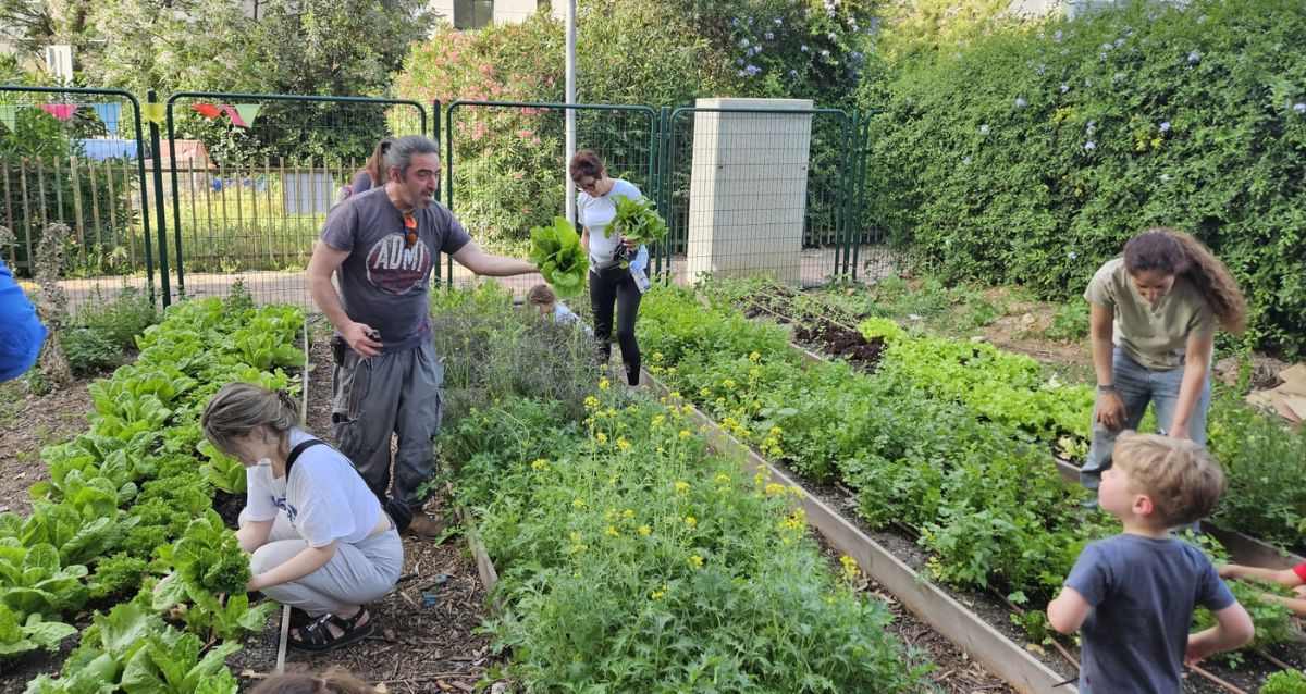 גינה קהילתית, צילום: עיריית רעננה