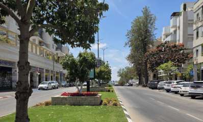 רחוב אוסישקין ברמת השרון, צילום: עיריית רמת השרון