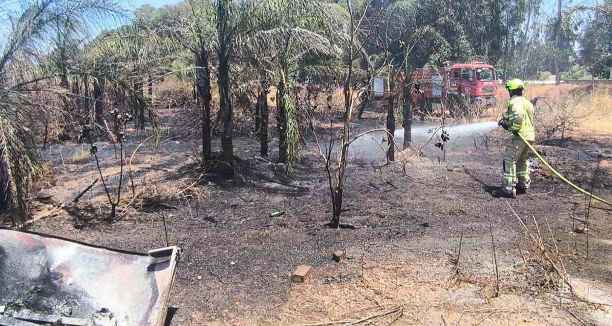 השריפה בהוד השרון. צילום: דוברות כיבוי והצלחה