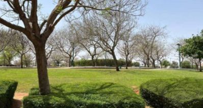פארק עירוני כפר סבא. צילום: דוברות עיריית כפר סבא
