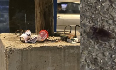 ליל שישי, 11 ביולי, במרינה הרצליה - ג'וקים על הרחבה וזוהמה בחניון. צילום: פרטי