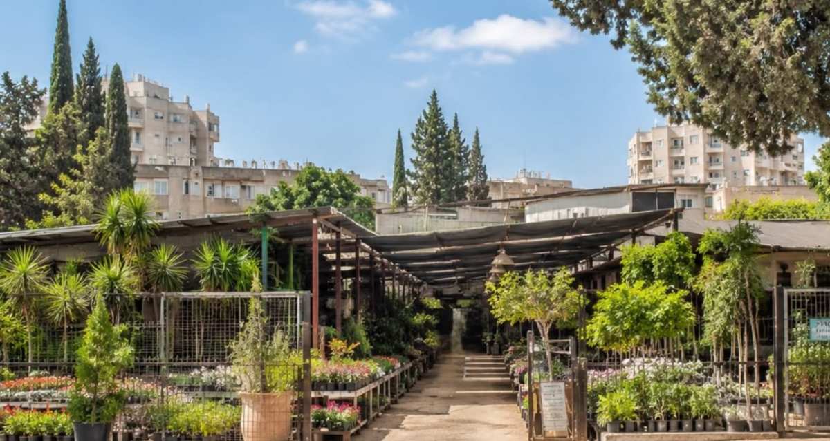 משתלה בהוד השרון. איור Ai: שרון אונליין
