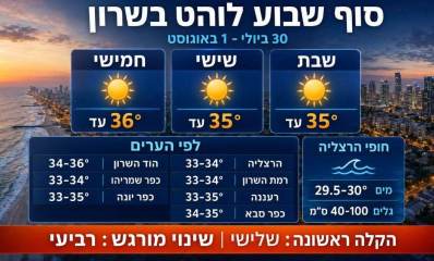 התחזית בערי השרון. אינפוגרפיקה - מדיה היפר לוקאלית